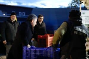 Gemlik Belediyesi'den, zeytin üreticisine destek! 8 Bülten Medya -