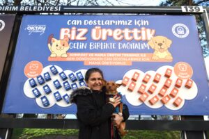 Yıldırım Belediyesi'nden hayvan dostu çalışma! 12 Bülten Medya -