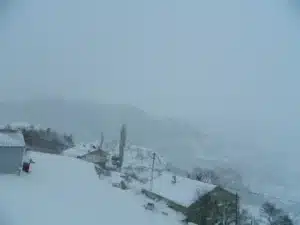 Bülten Medya -