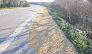 Bülten Medya -