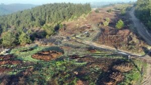 Mudanya Belediyesi kendi enerjisini üretecek 4 Bülten Medya -