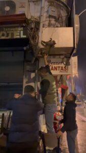 Bursa'da kablolara dolanan kedi kurtarıldı! 8 Bülten Medya -