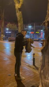Bursa'da kablolara dolanan kedi kurtarıldı! 7 Bülten Medya -