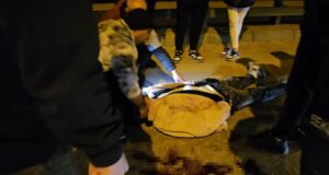 Bülten Medya -