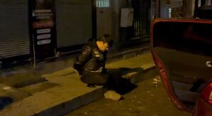 Bursa'da alkollü sürücü polis aracına çarptı 8 Bülten Medya -