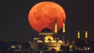 Bülten Medya -