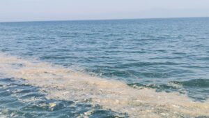 Bursa’da kâbus geri döndü 8 Bülten Medya -