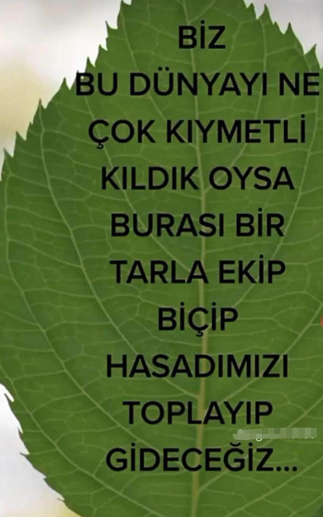 İnegöl'de öldürülen kadının paylaşımı yürek burktu 1 Bülten Medya -