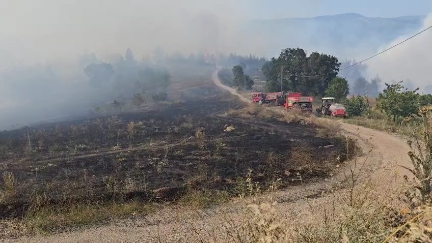 Bursa'daki o köy yangın sebebiyle tahliye ediliyor 1 Bülten Medya -