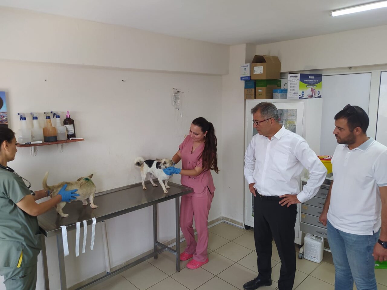 Orman yangınlarından etkilenen canlara şefkat eli 2 Bülten Medya -