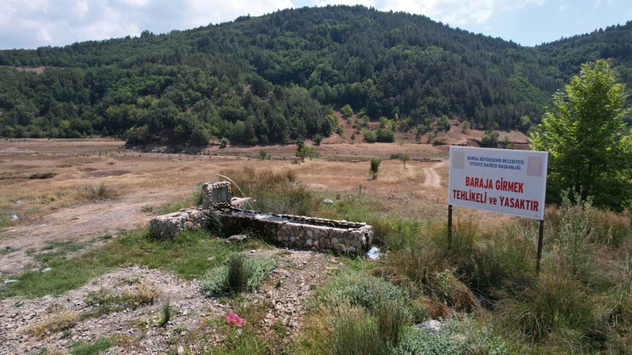 Bülten Medya -