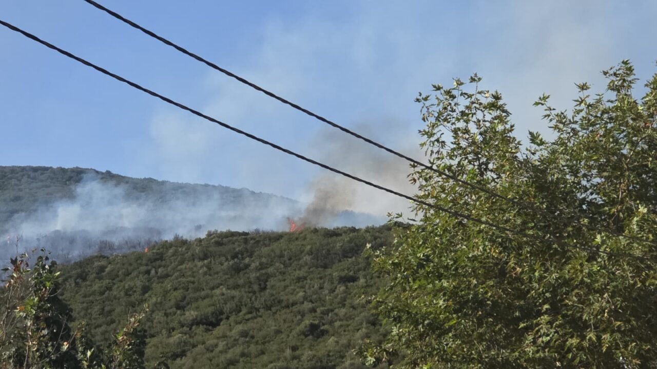 Bursa'nın Orhangazi ilçesinde orman yangını çıktı 4 Bülten Medya -