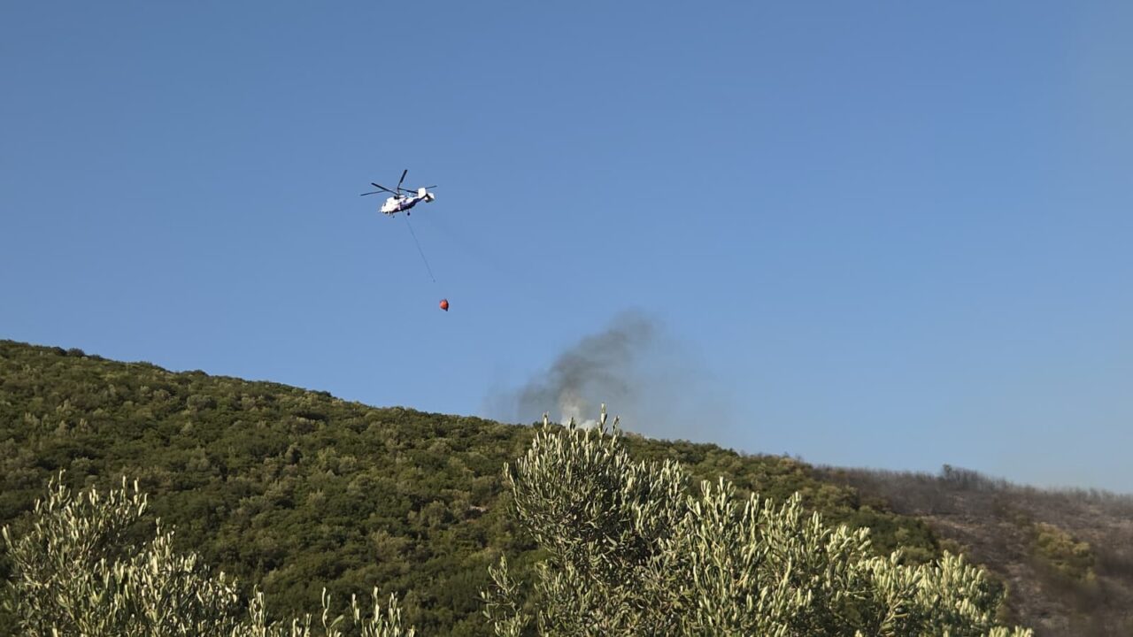 Bursa'nın Orhangazi ilçesinde orman yangını çıktı 3 Bülten Medya -