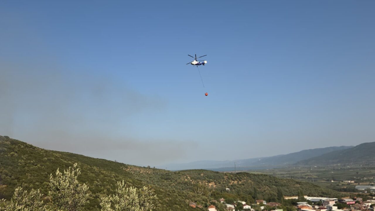 Bursa'nın Orhangazi ilçesinde orman yangını çıktı 2 Bülten Medya -