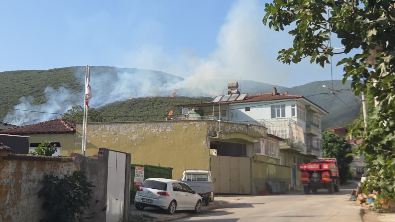 Bursa'nın Orhangazi ilçesinde orman yangını çıktı 1 Bülten Medya -