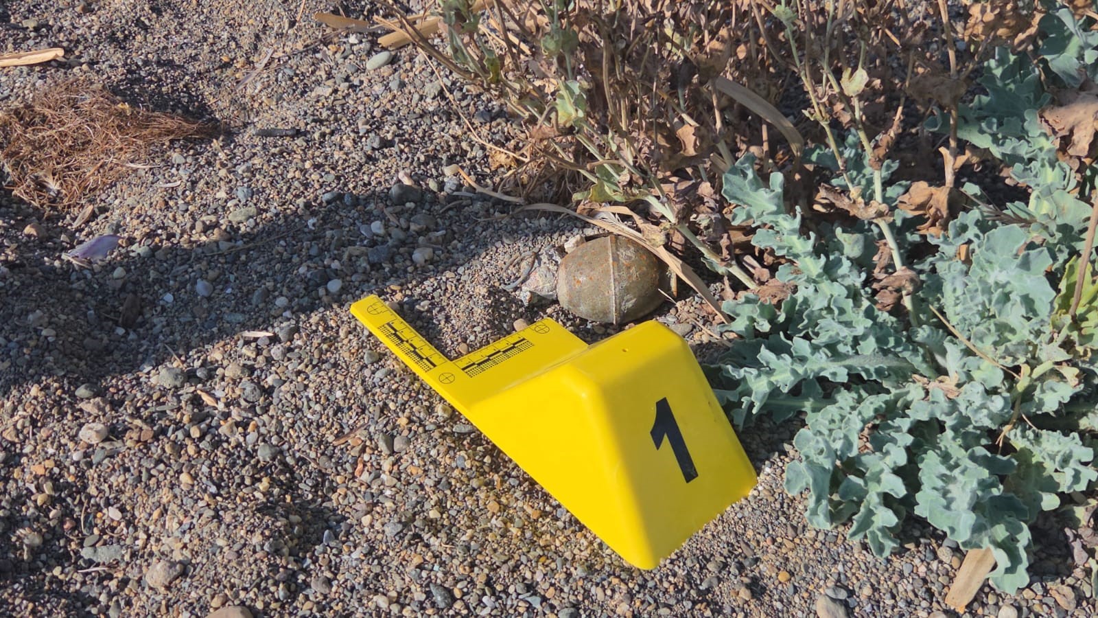 İznik Gölü kıyısında el bombası paniği 1 Bülten Medya -