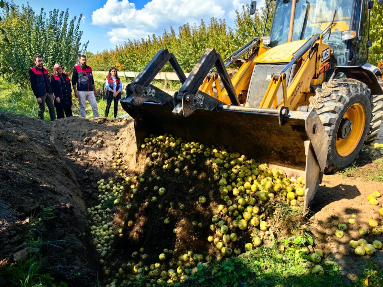 Bursa’da pestisite geçit yok: 40 ton armut imha edildi 1 Bülten Medya -