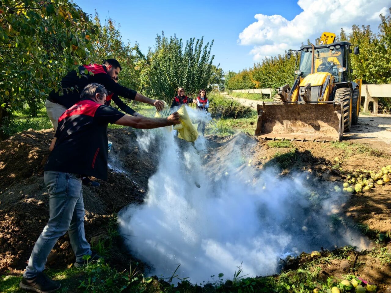 Bursa’da pestisite geçit yok: 40 ton armut imha edildi 2 Bülten Medya -