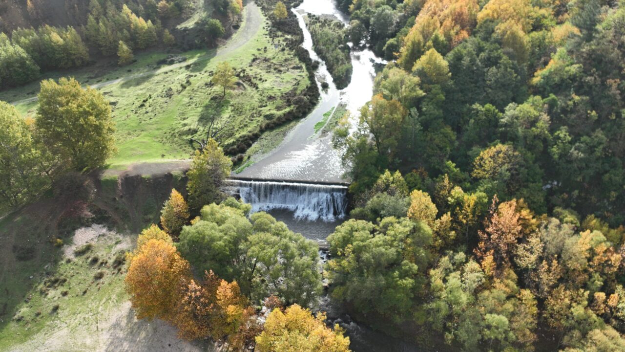 Bülten Medya -