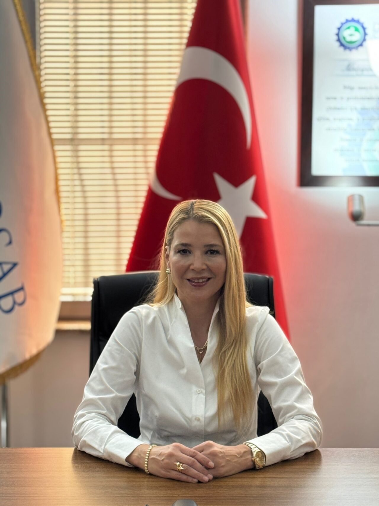Sabiha Gökçen'e yolcu taşıma işi Bursaspor'a verilsin teklifi 1 Bülten Medya -