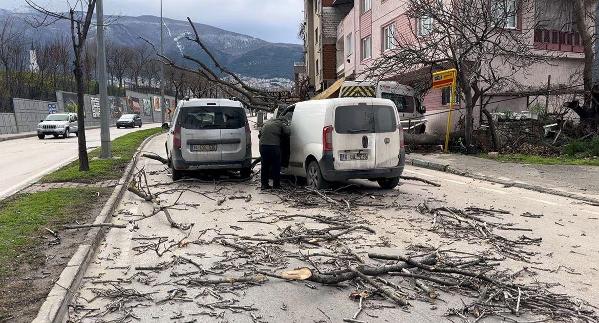 Bursa'da seyir halindeki araçların üzerine ağaç devrildi 1 Bülten Medya -