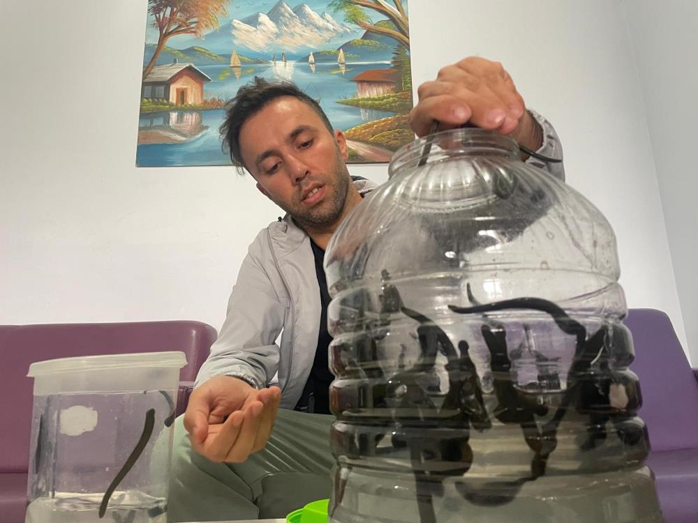 Güzellik için bunu deniyorlar 1 Bülten Medya -