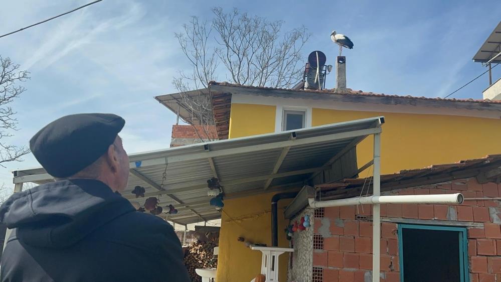Leylek köyünde erken heyecan 1 Bülten Medya -