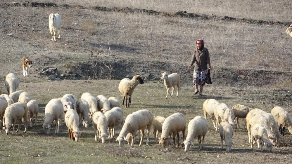 Boğazından bıçaklanmıştı… geçmişi ortaya çıktı 2 Bülten Medya -