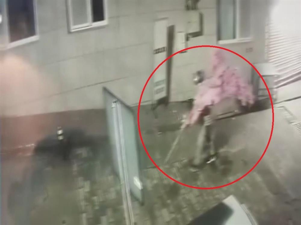 Süs ağacını söküp kayıplara karıştı. 1 Bülten Medya -