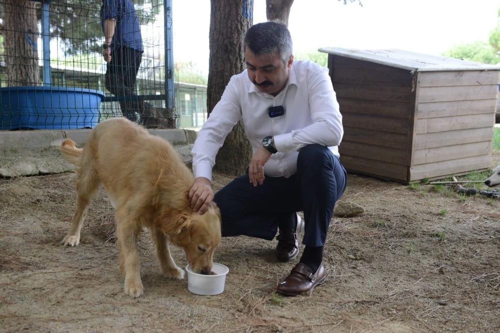 Atık yemekler çöpe gitmiyor… Mamaya dönüşüyor 1 Bülten Medya -