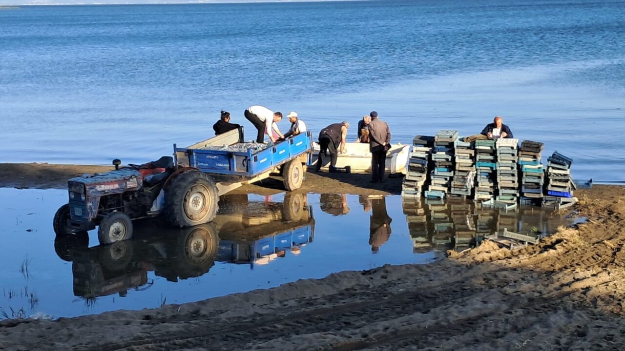 İznik’te sezon bereketle açıldı 1 Bülten Medya -