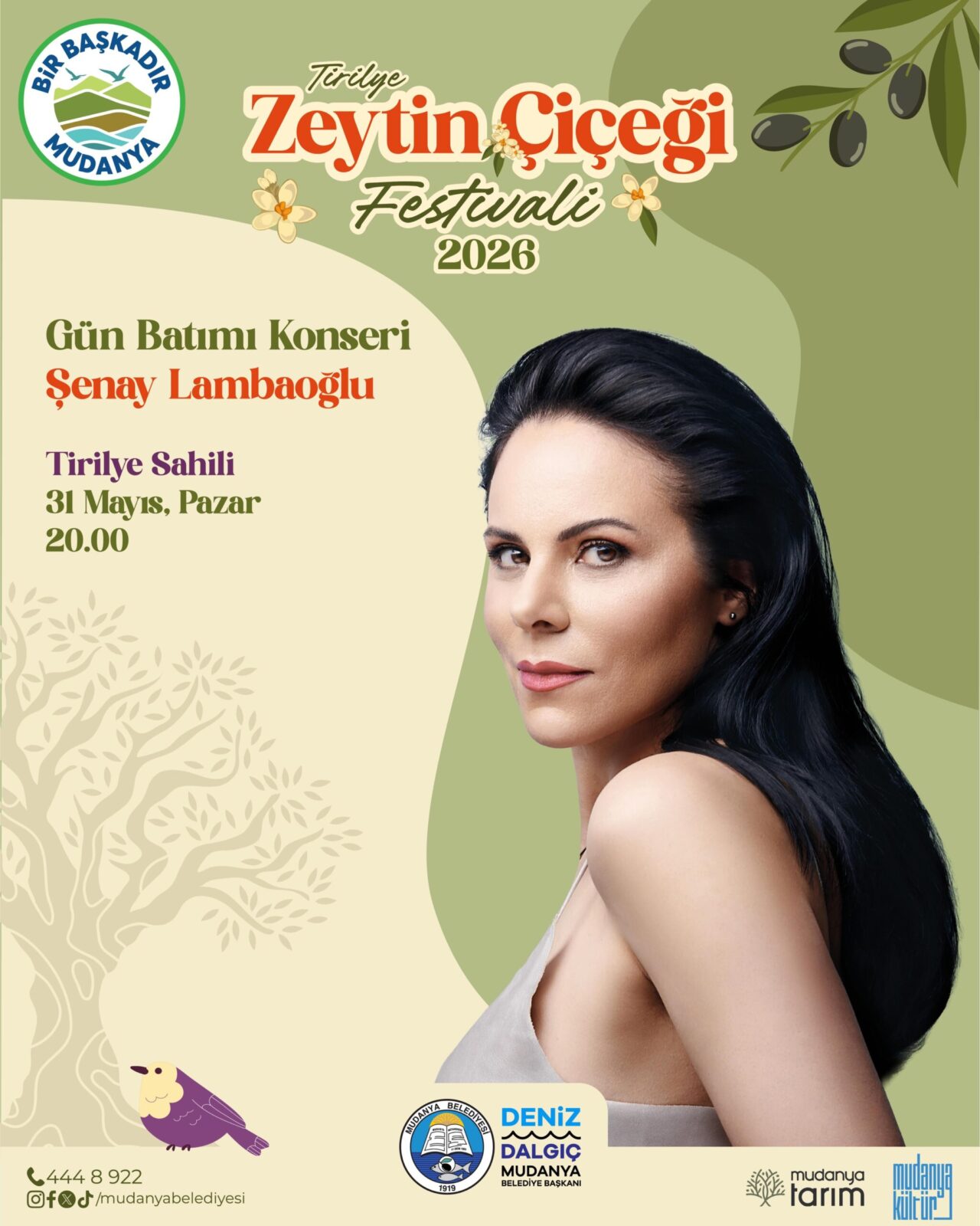 Tirilye’de festival coşkusu yaşanacak! 2 Bülten Medya -