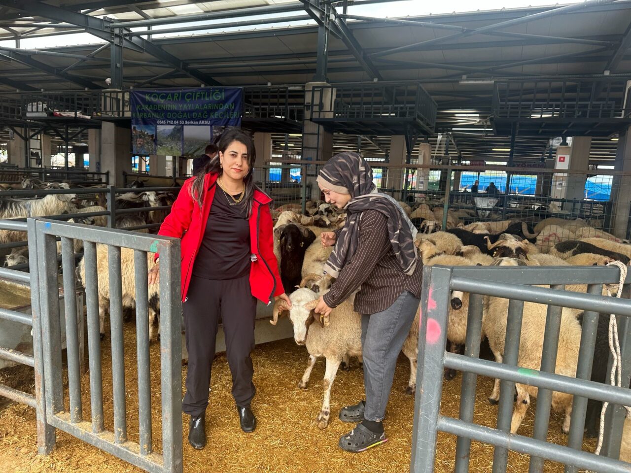 Kurban pazarında görenler şaşırdı 2 Bülten Medya -