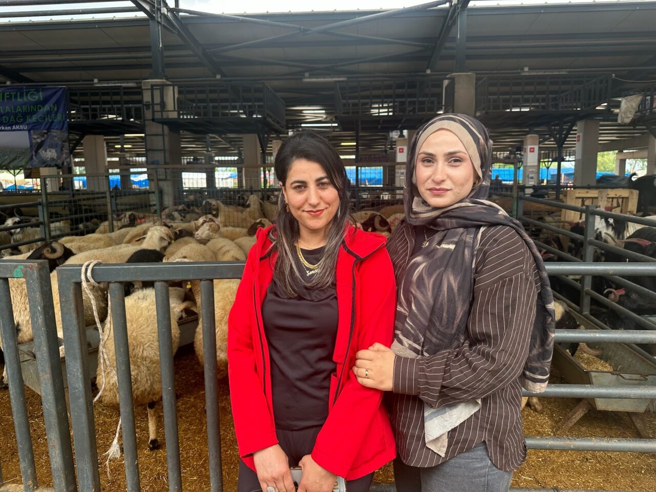 Kurban pazarında görenler şaşırdı 1 Bülten Medya -