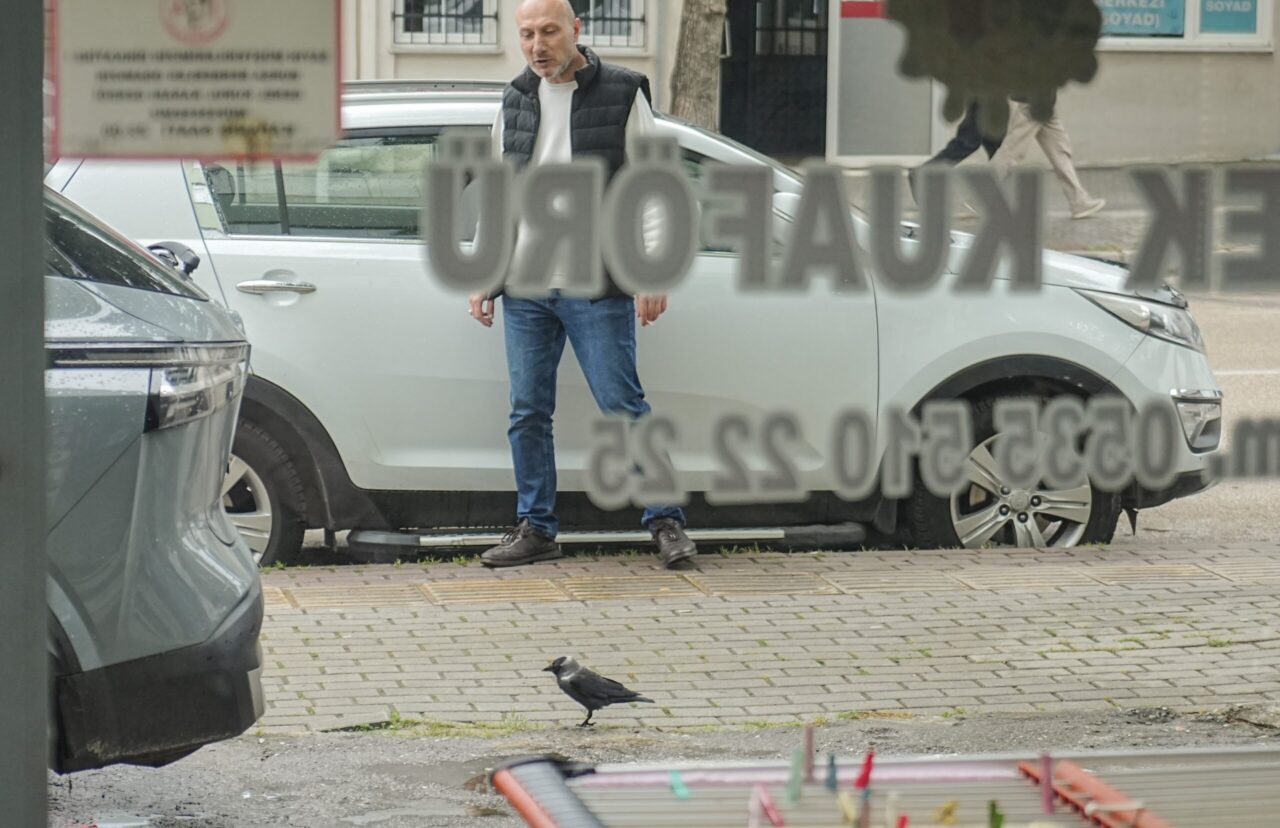 Karganın yeni mesleği 1 Bülten Medya -