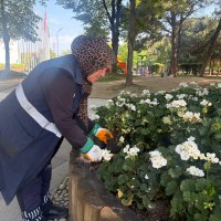 Bursa yaza hazırlanıyor 1 Bülten Medya -