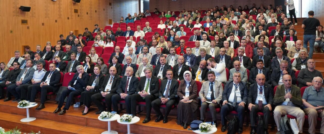 Bir düşünün dostlar. 2 Bülten Medya -