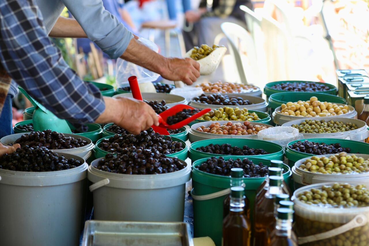 “Zeytinin başkenti Tirilye’dir” 4 Bülten Medya -