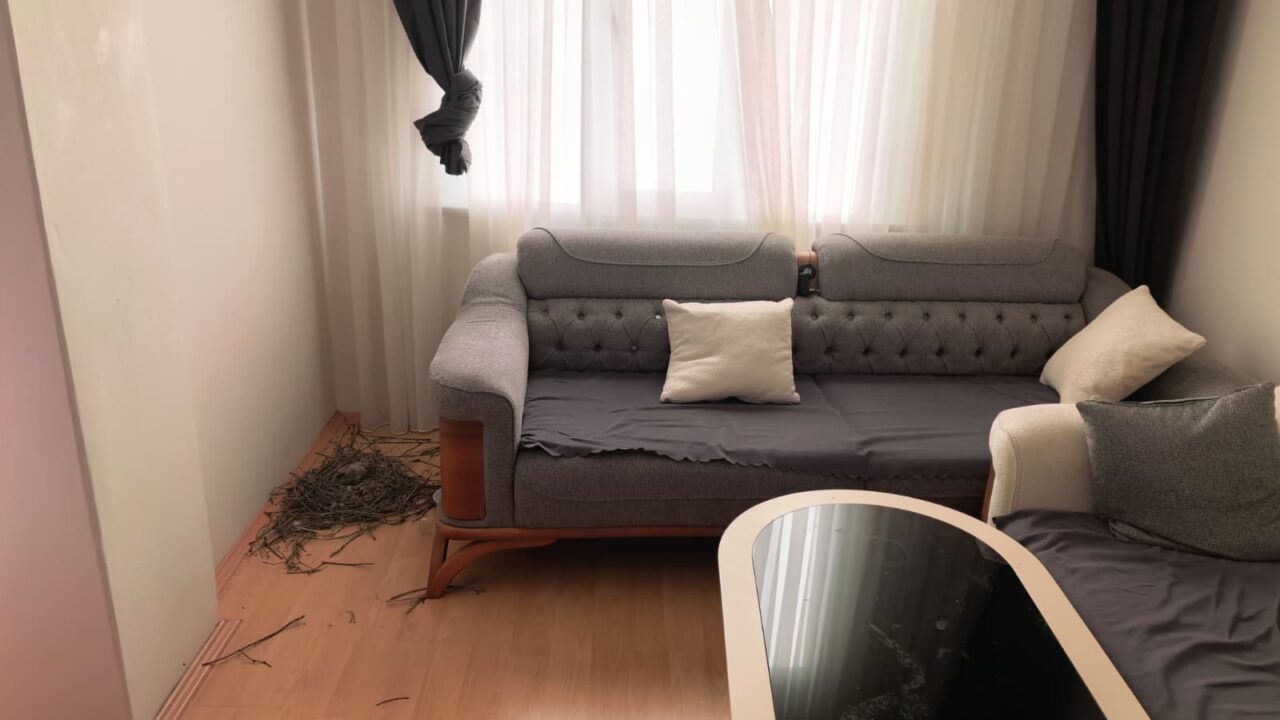 Evinin salonunu güvercinlere bıraktı 2 Bülten Medya -